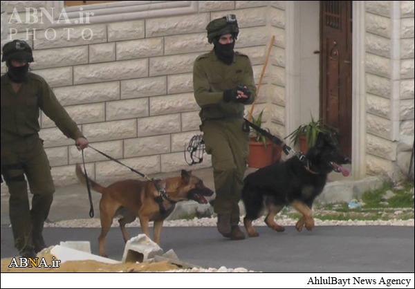 حمله سگ‌های رژیم صهیونیستی به نوجوان فلسطینی + عکس