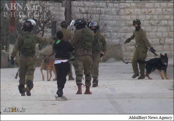 حمله سگ‌های رژیم صهیونیستی به نوجوان فلسطینی + عکس