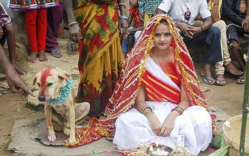 ازدواج یک دختر ۱۸ ساله هندی با سگ +تصاویر