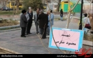 کاشت درخت به یاد