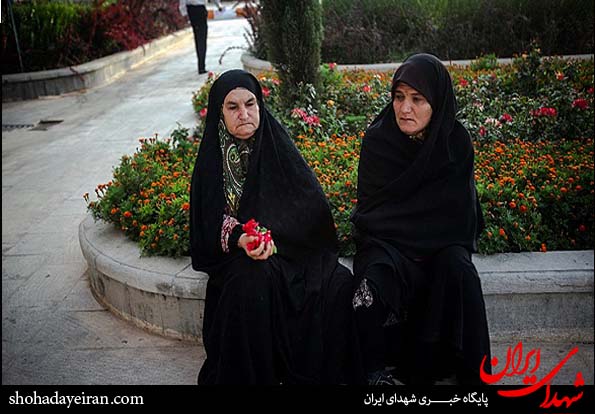 تصاویر/ استقبال از شهدای گمنام در شیراز