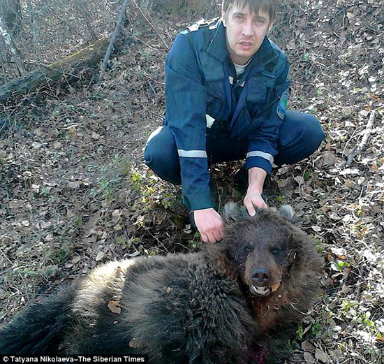 خرس‌ یک زن را خورد دیگری را دفن کرد+تصاویر