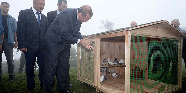 این پرنده روی سر اردوغان چه کرد؟+عکس