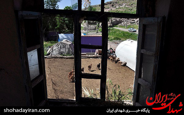 عکس/زندگی خانواده شهید در کانکس