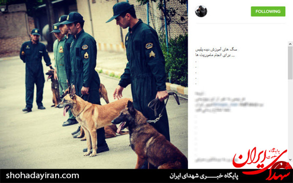 عکس/اشرار دستگیر شده توسط نیروهای ویژه نوپو