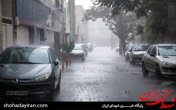 عکس/بارش شدید باران در تهران