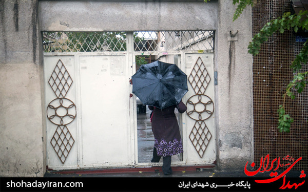 عکس/بارش شدید باران در تهران