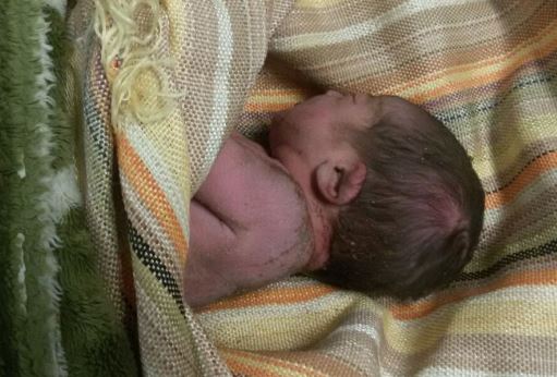 نوزاد سه روزه کنار جاده رها شد + عکس