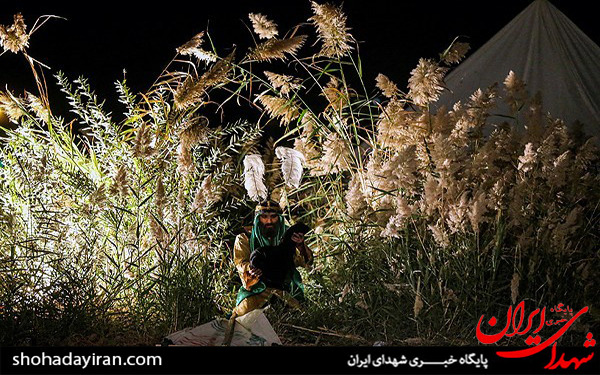 عکس/اجرای سوگواره شب غریبانه در حکیمیه