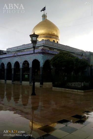 عکس/ حرم حضرت زینب(س) در هوای بارانی دمشق