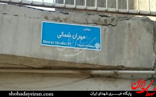 اصرار شهرداری بر تخریب پارک پدران و مادران شهدا! + عکس