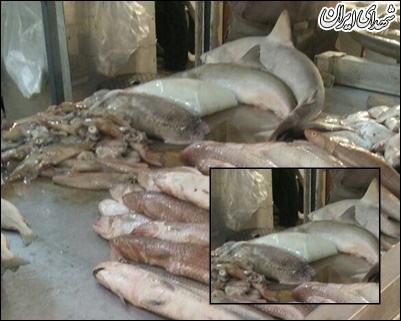 فروش آبزیان حرام گوشت در بازار بوشهر/ ارائه خرچنگ در فست فود ها! + عکس