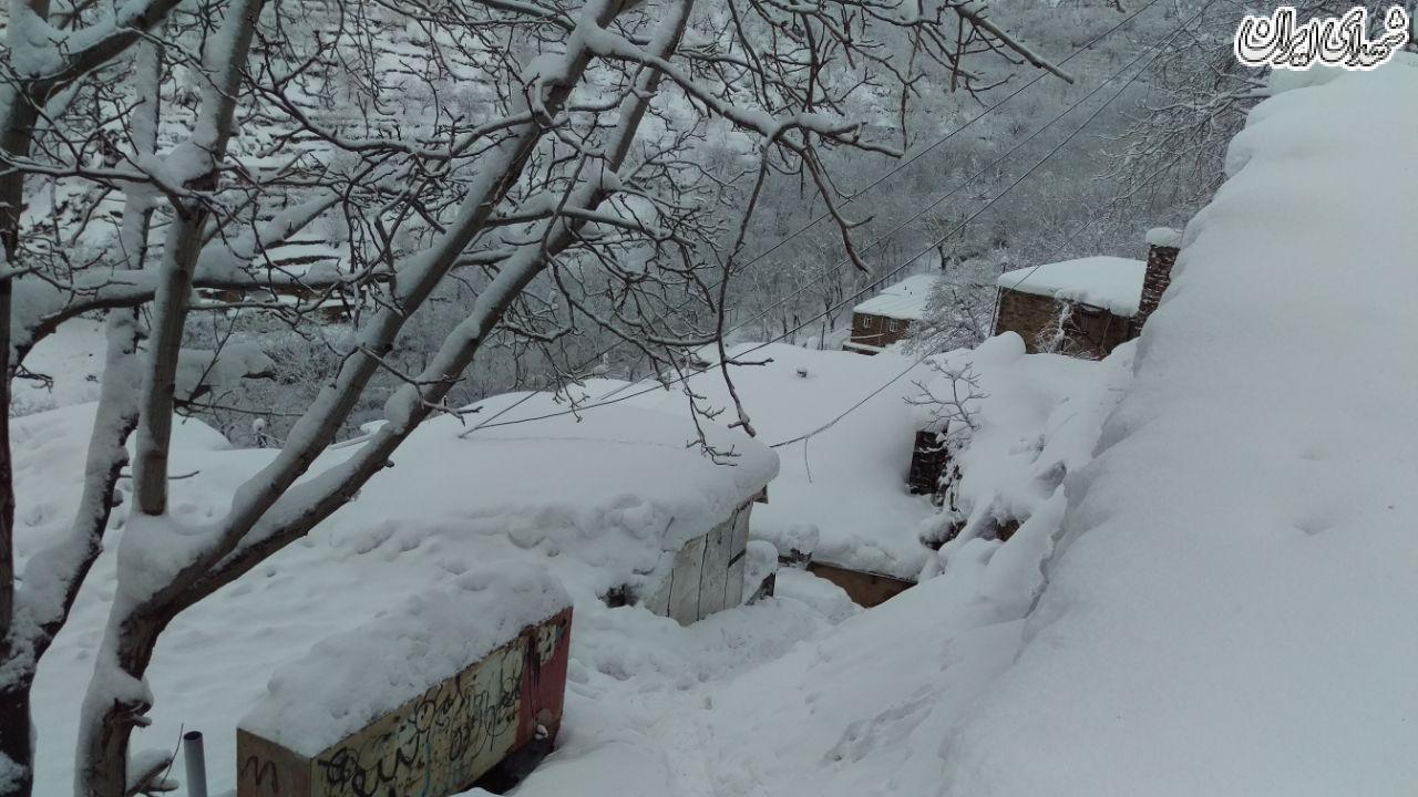 محصور شدن یک روستای مرزی در برف + عکس
