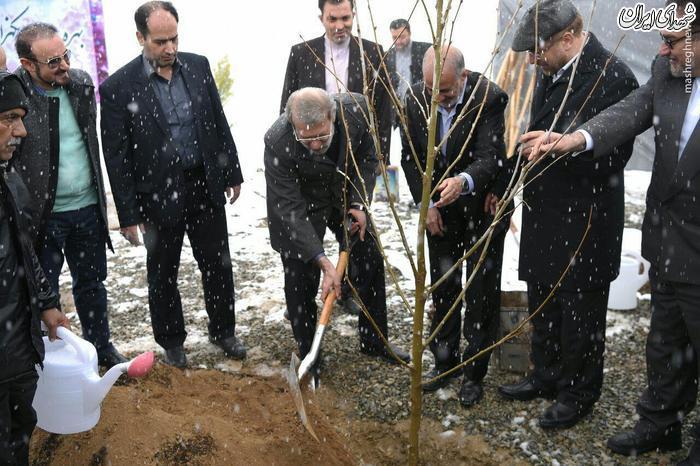 لاریجانی و قالیباف در حال درختکاری+عکس