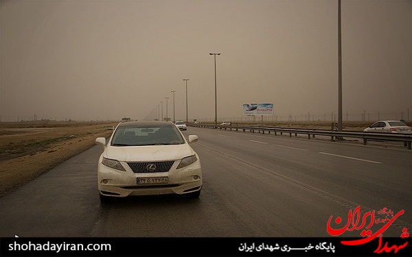 عکس/ ریزگردها میهمان بوشهری ها