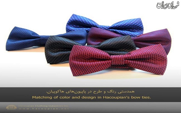 تبلیغ کراوات در کانال هاکوپیان + عکس