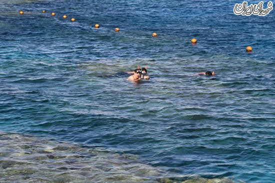 شنای آل خلیفه در سواحل شرم‌الشیخ + تصاویر