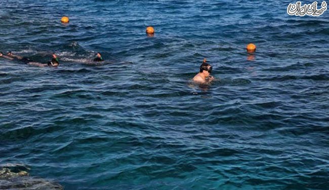 شنای آل خلیفه در سواحل شرم‌الشیخ + تصاویر