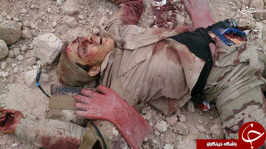 تصاویر/ تلفات سنگین داعش در فلوجه