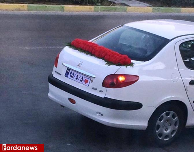 پلاک جالب خودروی عروس و داماد در بوشهر+عکس