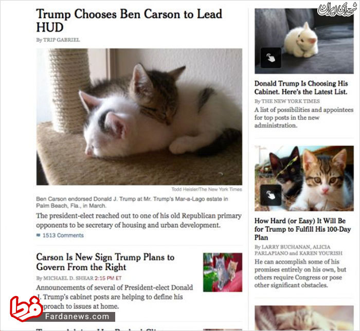 گوگل،ترامپ را به شکل گربه نشان می‌دهد!+عکس