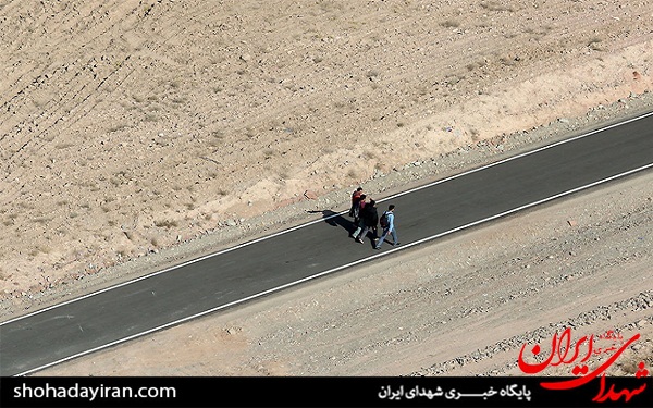 عکس/ تصاویر هوایی از زائران پیاده امام رضا (ع)