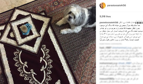 نماز خواندن خانم بازیگر در کنار سگ خانگی! +عکس