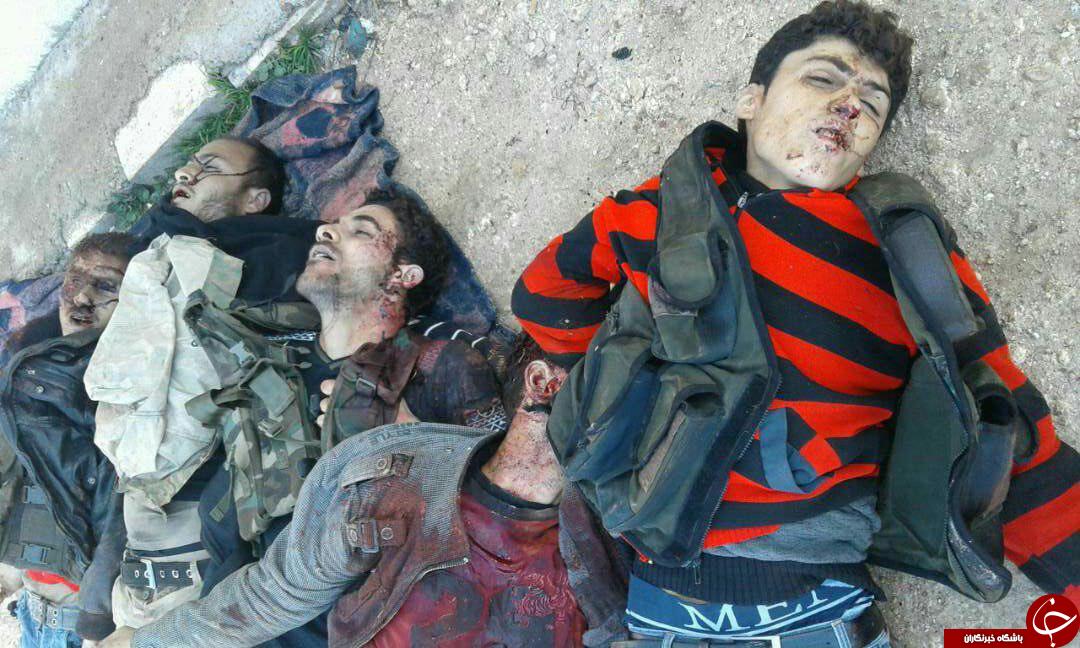 اعدام 5 عضو احرار الشام توسط جبهه النصره + عکس
