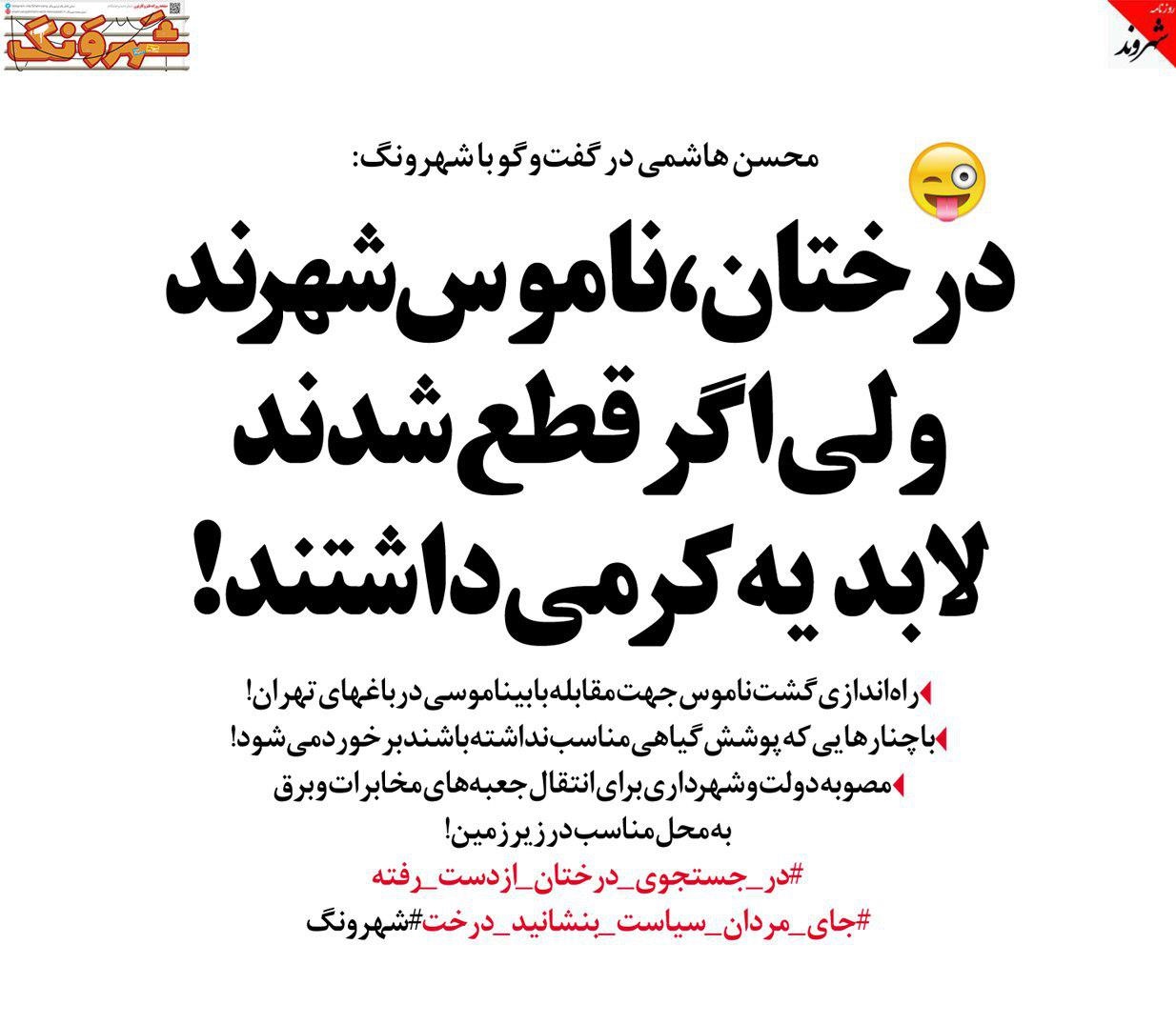 گشت ناموس در تهران راه اندازی می شود + عکس