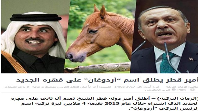 امیر قطر نام اسب خود را اردوغان گذاشته است