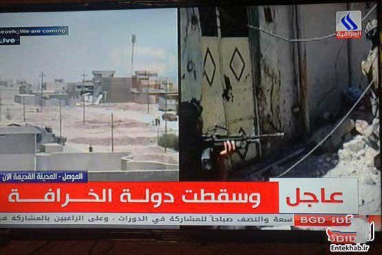 تلویزیون رسمی عراق از سقوط داعش خبر داد +عکس