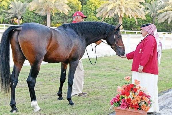 هدیه خاص و پر دردسر ملکه انگلیس به شاه بحرین +عکس