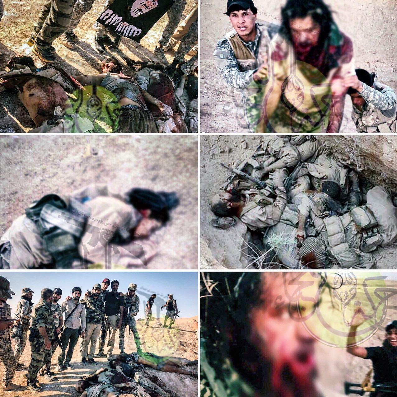 اجساد تروریست های داعش در قلب عراق + عکس