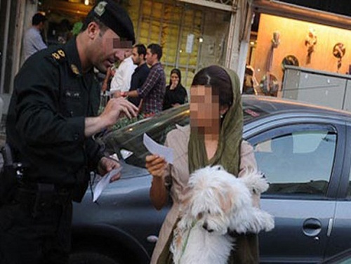 سگ گردانی در تهران ممنوع شد