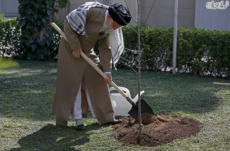 عکس/کاشت نهال توسط رهبراتقلاب در روز درختکاری
