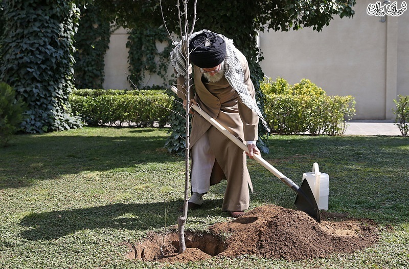 عکس/کاشت نهال توسط رهبراتقلاب در روز درختکاری