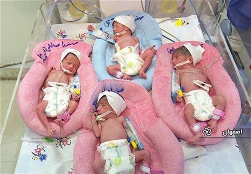 تولد 4 قلوها در بیمارستان امام خمینی اهواز + عکس