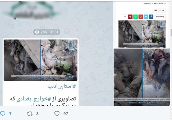 داعشی که ضدانقلاب آن را معترض معرفی می‌کند+عکس
