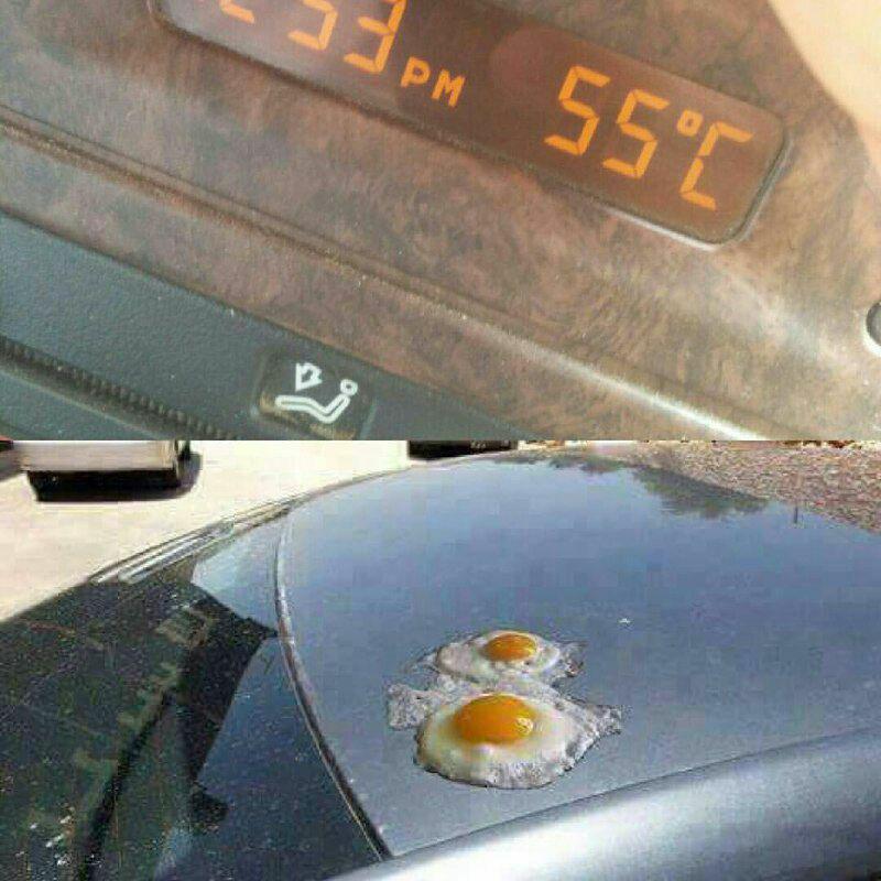 پختن تخم مرغ با دمای 53 درجه ای هوا! + عکس