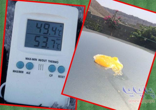 پختن تخم مرغ با دمای 53 درجه ای هوا! + عکس