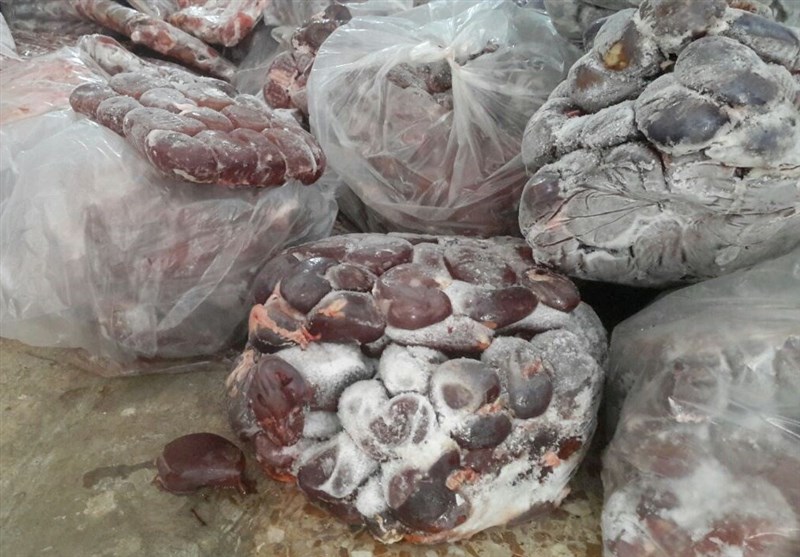 کشف ۱.۵ تن گوشت فاسد از پارکینگ منزل مسکونی+تصاویر