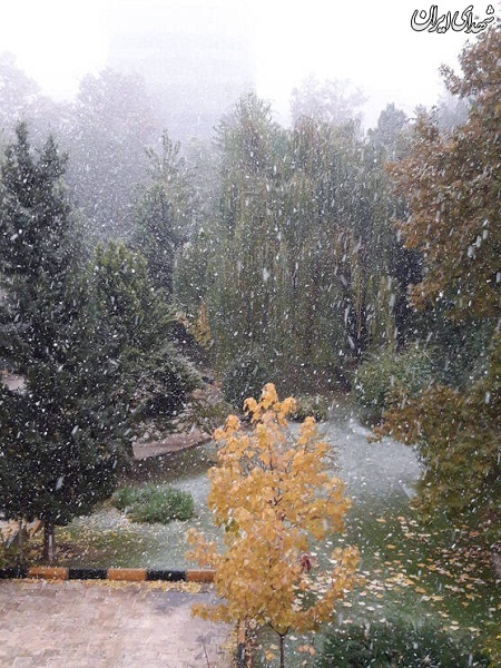 عکس/ بارش اولین برف پائیزی در تهران