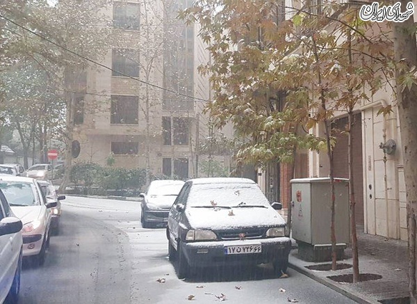 عکس/ بارش اولین برف پائیزی در تهران