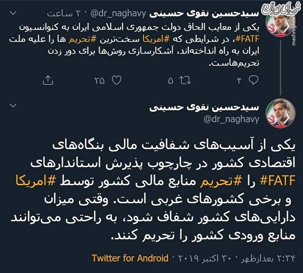 یکی از معایب FATF از زبان نقوی حسینی