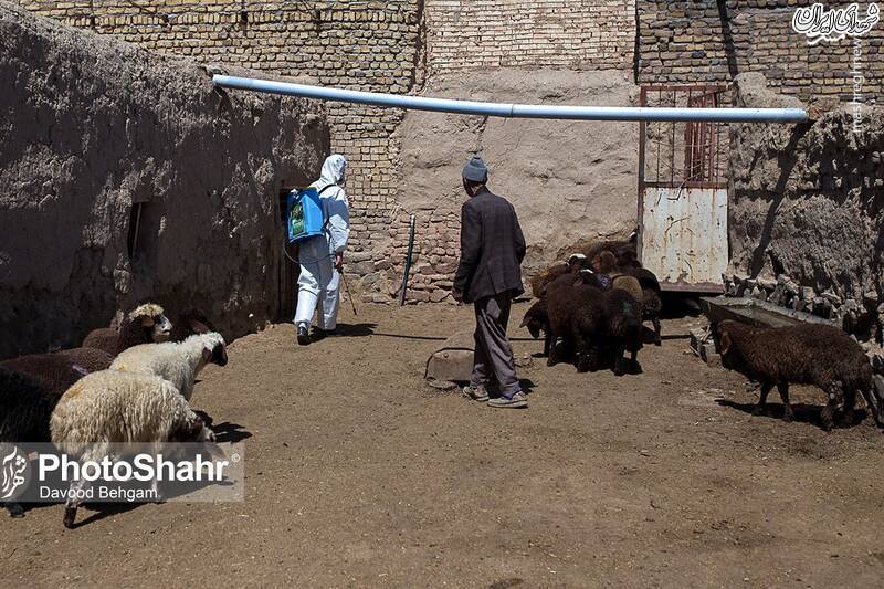 عکس/ ضدعفونی روستاهای اطراف مشهد