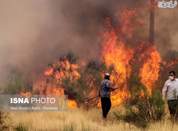 عکس/ آتش‌سوزی در اراضی جنگلی «بوئین‌زهرا»