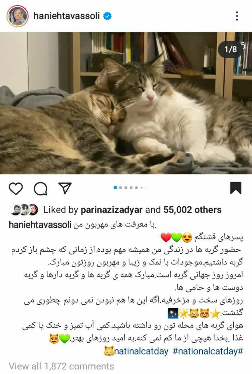 حیوان بازی خانم‌های بازیگر با گربه هانیه توسلی +تصاویر