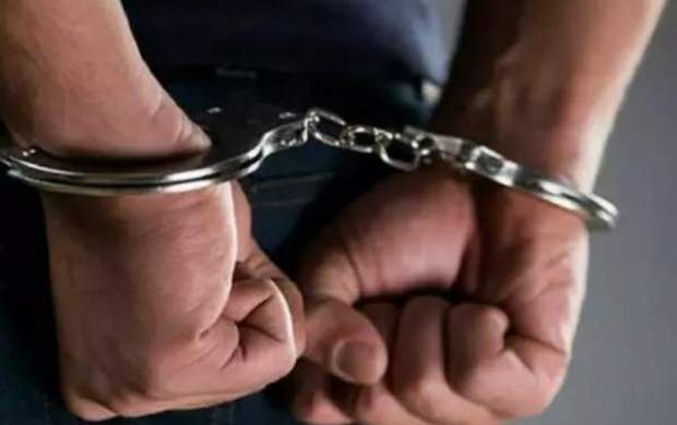 عناصر وابسته به ضدانقلاب در شیراز دستگیر شدند