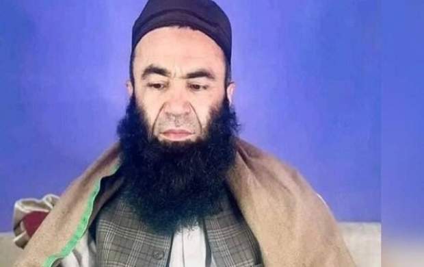 طالبان قتل رئیس علمای سلفی را تایید کرد