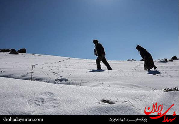 عکس/ زندگی پدر و مادر شهید در کانکس